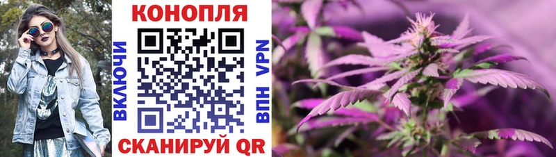 Где купить наркотики Невель Бошки Шишки  КОКАИН  ГАШ  Мефедрон 