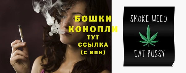 шишки Балахна