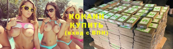шишки Балахна