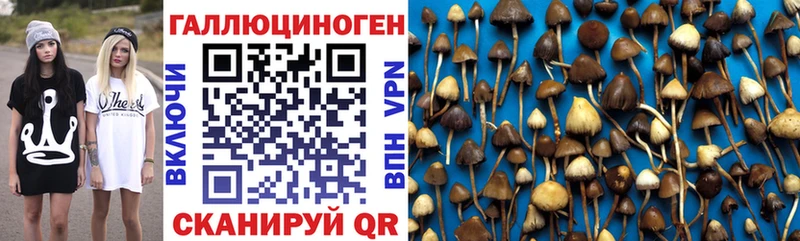 купить наркотик  Невель  Псилоцибиновые грибы ЛСД 